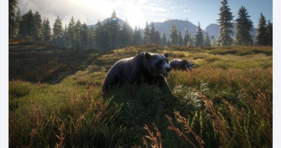 Hunter: Call of the Wild – PlayStation 4 Price in Dubai, UAE - Image 3