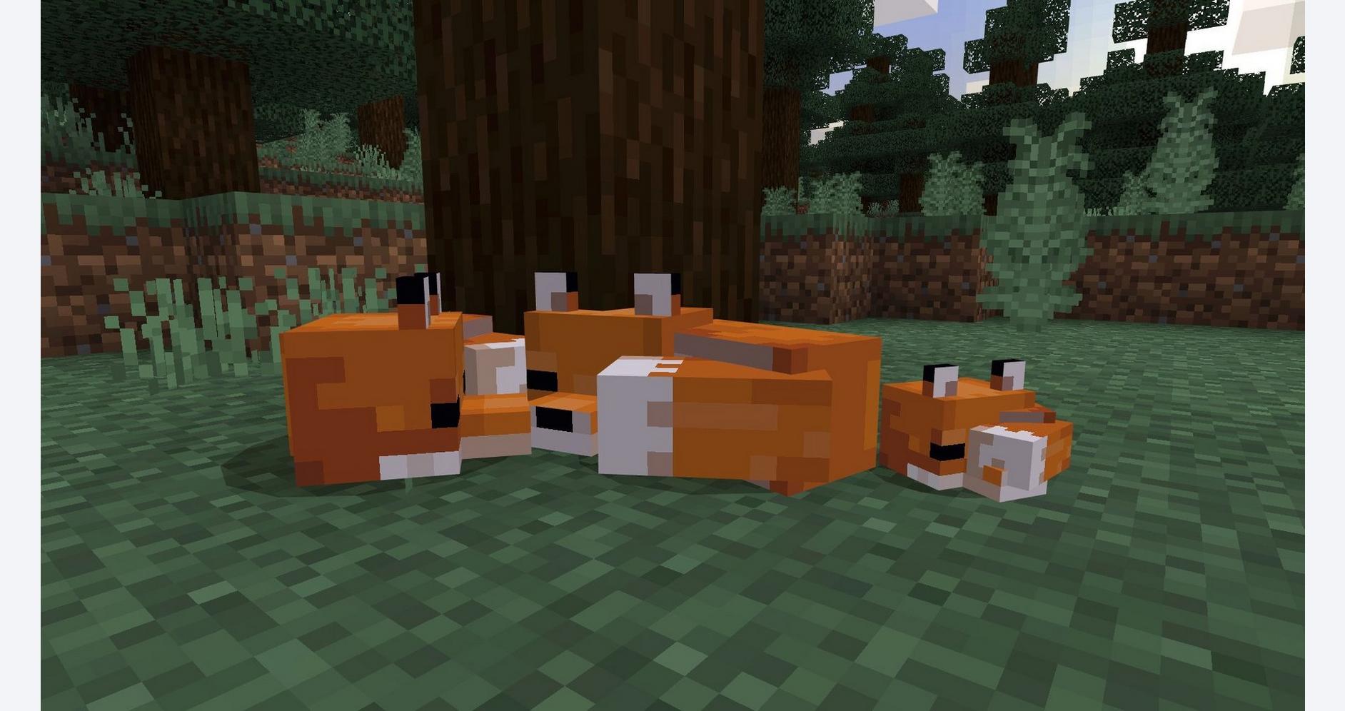 Minecraft Starter Collection – PlayStation 4 Price in Dubai, UAE - Image 3